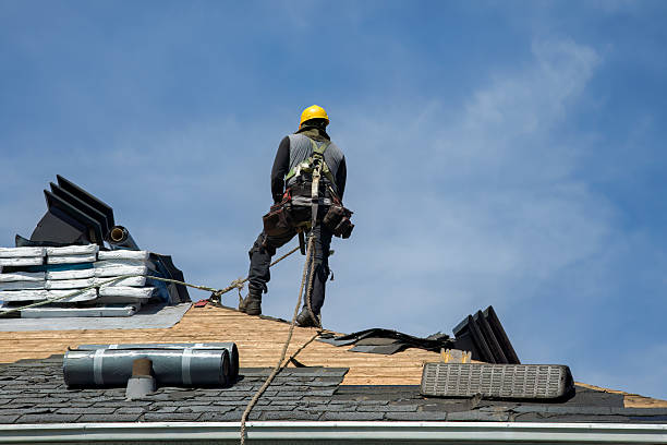 Professional Roof Replacement technician working in Middleville, MI